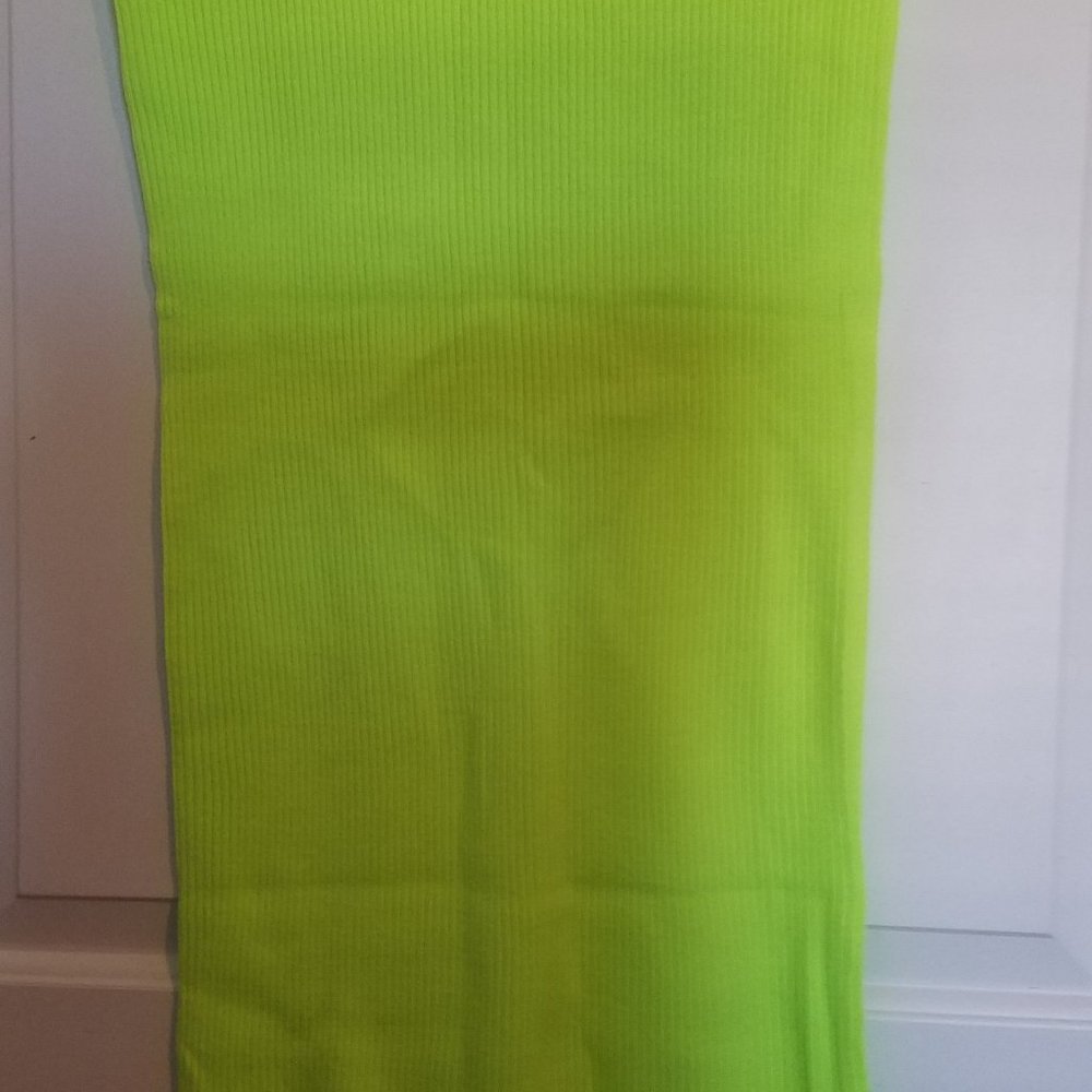 Pencil skirt (NWT)